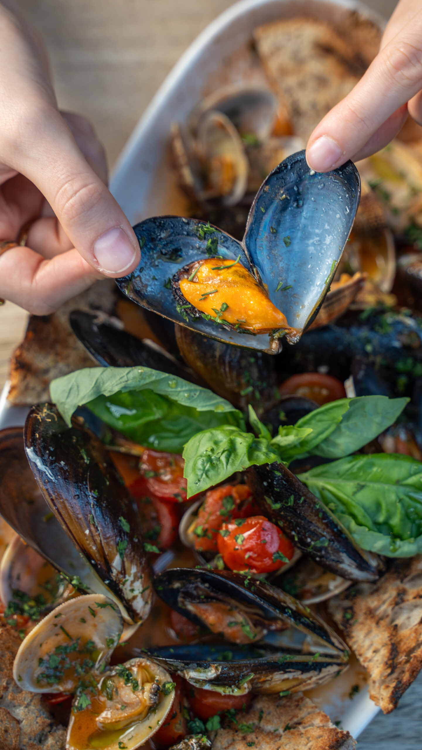 Contro Corrente - Image 4