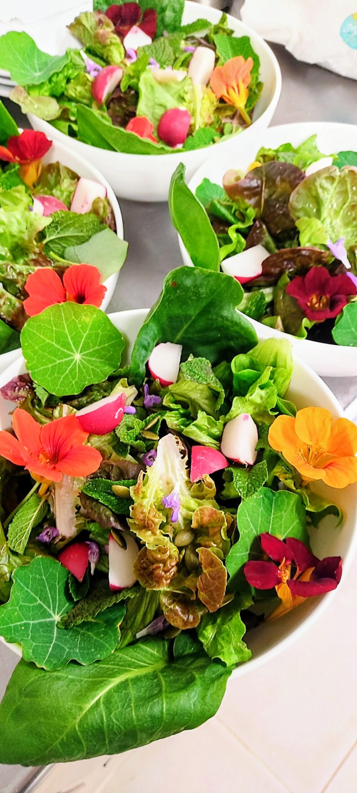 Café Paloma - Image 3