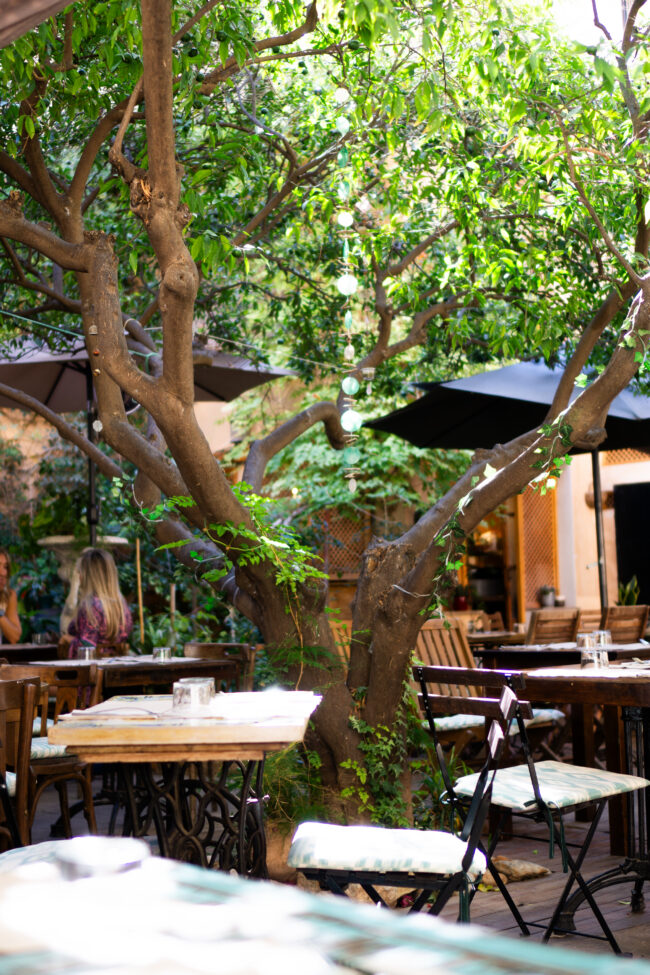 Temple Natura Café Garden