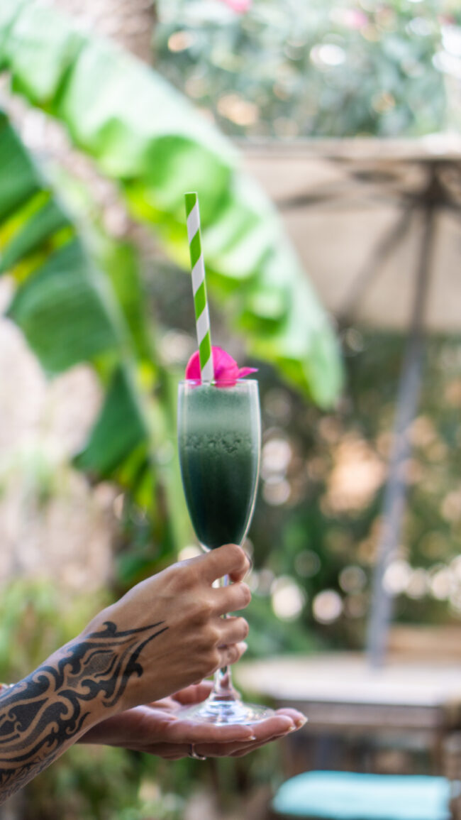 Alternative view of Temple Natura Café Garden