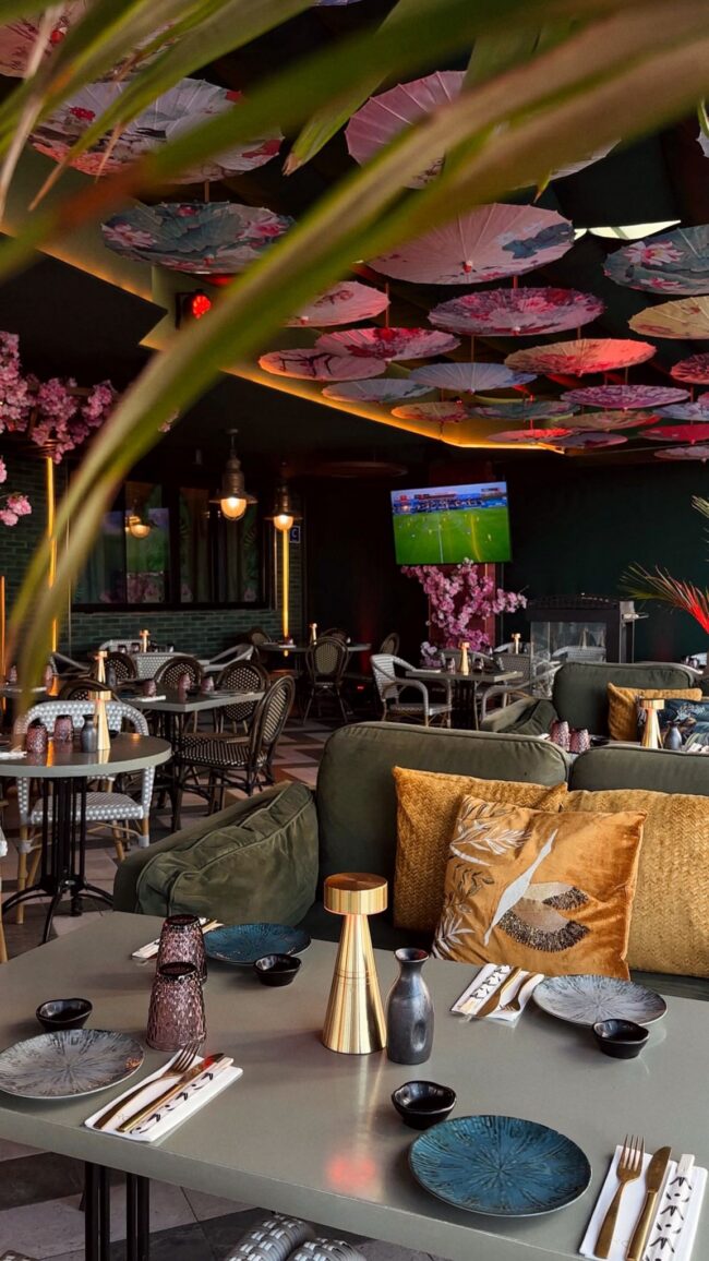 Alternative view of Iroko